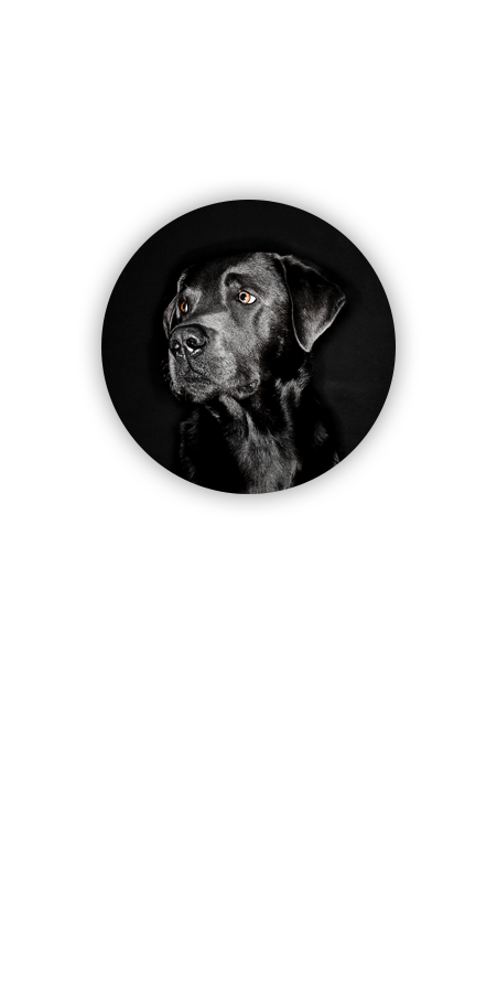 Hey. It's me: Charlab